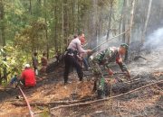 Aksi Cepat Polres Tator Bersama Tim Gabungan Padamkan Kebakaran Lahan di Makale