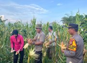 Bersama Ketua Bhayangkari, Kapolres Palopo Panen Hasil Tanaman Di Pekarangan Lestari