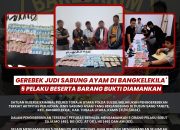 Polisi Gerebek Judi Sabung Ayam di Bangkelekila’, 5 Pelaku Beserta Barang Bukti Diamankan