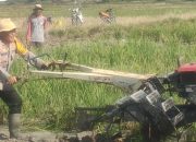 Sukseskan Asta Cita Swasembada Pangan, Kapolsek Maritengngae Polres Sidrap Turun Sawah