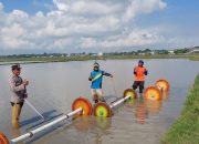 Bhabinkamtibmas Polsek Panca Rijang Turun ke Sawah, Dukung Swasembada Pangan Bersama Petani