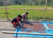 Bhabinkamtibmas Polsek Aralle Polres Mamasa Laksanakan Sambang Warga untuk Pantau Situasi Kamtibmas