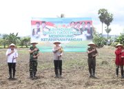 Kapolres Sidrap dan Forkopimda Tanam Jagung pada launching Gugus tugas Dukung Swasembada Pangan Bersama Kapolri Panglima TNI dan para Menteri Via Zoom