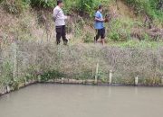Bhabinkamtibmas Polsek Mambi Polres Mamasa Laksanakan kegiatan Pemantauan Pemanfaatan Lahan Kosong untuk Ketahanan Pangan