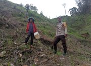 Bhabinkamtibmas Polsek Aralle Polres Mamasa Laksanakan kegiatan Ketahanan Pangan Melalui Pemanfaatan Lahan Produktif di Desa Pamoseang Pangga