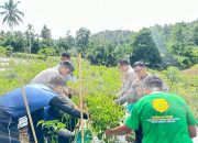 Kebun Ketahanan Pangan Biddokkes Polda Sulbar: Menumbuhkan Ekonomi dan Kesejahteraan Masyarakat
