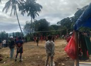 Polsek Pana Polres Mamasa Laksanakan Pengamanan Giat Olahraga Dalam Perayaan Natal Umum Klasis Tabang