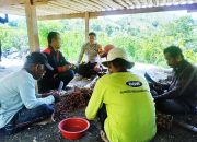 Bhabinkamtibmas Desa Pamboborang Dukung Peningkatan Hasil Pertanian Kelompok Tani Bura Soppeng