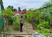 Bhabinkamtibmas Labuang Utara Dorong Pemanfaatan Lahan Pekarangan Warga untuk Swasembada Pangan