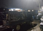 Unit Resmob Polres Mamasa Berhasil Gagalkan Penipuan Modus Jual Beli Kerbau di Mamasa