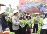 Kapolres Bersama Tim Itwasum Polri Tinjau Program Pekarangan Pangan Bergizi di Sidrap: Dukung Ketahanan Pangan Nasional