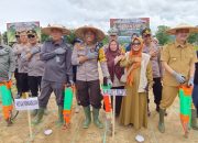 Polres Palopo Tanam Jagung Guna Mendukung Program Penanaman Jagung 1 Juta Hektar