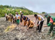 Polsek Banggae Gelar Penanaman Jagung Serentak Satu Juta Hektar