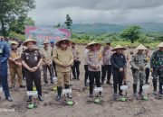 Program Asta Cita Presiden RI, Parepare Ikut Sukseskan Penanaman Jagung Serentak Satu Juta Hektar