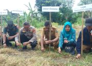 Polsek Sendana Dukung Program Asta Cita Ketahanan Pangan dengan Penanaman Jagung Serentak