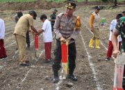 Kapolres Soppeng Dukung Penanaman Jagung Serentak 1 Juta Hektar