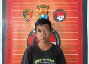 Ditresnarkoba Polda Sulbar Ungkap Jaringan Peredaran Sabu, Tiga Pemuda Asal Mamuju Ditangkap