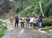 Polres Tator Gerak Cepat Bersihkan Pohon Tumbang yang Menutupi Jalan di Sangalla