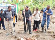 Kapolres Sidrap Pimpin Gerakan Tanam Jagung di Desa Buntu Buangin
