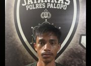 Polres Palopo Ungkap Kasus Curanmor