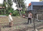 Bhabinkamtibmas Kelurahan Baruga Sambangi Kebun Sawi Warga untuk Dukung Ketahanan Pangan