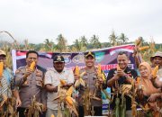 Dukung Program Ketahanan Pangan, Polres Maros Panen Jagung di Desa Pucak