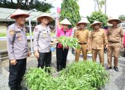Dukung Ketahanan Pangan, Kapolres Sidrap dan Ketua Bhayangkari Launching Pekarangan Pangan Lestari