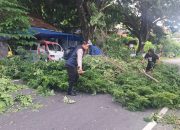 Bhabinkamtibmas Polres Majene Berjibaku Bersama Warga Bersihkan Ranting Pohon Yang Tutupi Jalan Trans Sulawesi