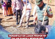 Dukung Astacita Presiden,  3 Pilar Kecamatan Sigeri Manfaatkan Lahan Produktif