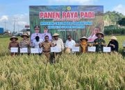 Dandim 1420/Sidrap Dampingi Dirjen PSP Kementan dalam Panen Bersama Petani di Allakuang