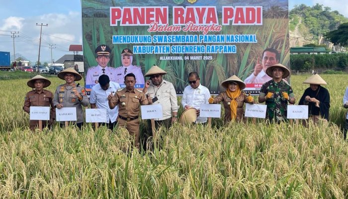 Dandim 1420/Sidrap Dampingi Dirjen PSP Kementan dalam Panen Bersama Petani di Allakuang