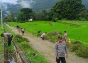 Polsek Pana Gelar Bakti Sosial dan Jumat Bersih di Kelurahan Tabang