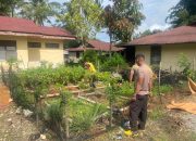Berdayakan Pekarangan Kantor, Polsek Sangalla Dukung Ketahanan Pangan