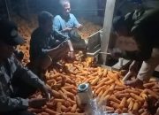 Polres Tator Datangkan Tim Bulog, Cek Kadar Air Hasil Panen Jagung Warga Di Bonggakaradeng