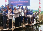 Kapolres Majene Dampingi Kapolda Sulbar Tebar Ribuan Benih Udang di Malunda