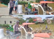 Babinkamtibmas Polsek Minasatene Polres Pangkep Turun Langsung Lakukan Pendampingan Panen Padi Menggunakan Combine