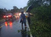 Gerak Cepat Polisi Evakuasi Pohon Tumbang Di Bantimurung Maros Akibat Cuaca Ekstream