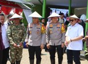 Dipimpin Gubernur, Kapolda Sulsel dan Pangdam, Kapolres Bone Ikuti Panen Raya dan Tanam Padi di Barebbo