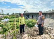 Dukung Ketahanan Pangan Nasional, Bhabinkamtibmas Polres Majene Kunjungi Kebun Cabai Warga di Lingkungan Buttu