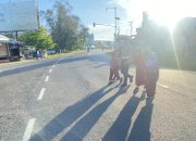 Polres Majene Gelar Commander Wish untuk Ciptakan Keamanan Pagi Hari di Jalan Raya