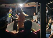 Gelar Operasi Pekat 2025, Polres Wajo Amankan 2 Ekor Ayam dan 1 Arena Sabung Ayam