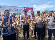 Kapolres Gowa Pimpin Panen Raya Jagung di Kecamatan Bajeng