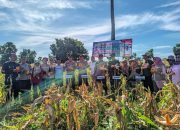 Polres Jeneponto Gelar Panen Raya Jagung Tahap II Bersama Instansi Terkait