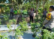 Wakapolres Majene Tinjau Persiapan Lomba Ketahanan Pangan di Desa Adolang Dhua
