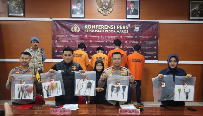 Polres Maros Tangkap Kawanan Pelaku Pembusuran yang Resahkan Warga, 7 Orang Diamankan