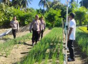 Wakapolres Majene Pimpin Penilaian Lomba P2B di Pekarangan Kelompok Tani Mosso Mande di Desa Limbua