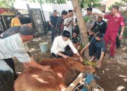 Kapolres Gowa Pimpin Pemotongan Hewan Kurban di Hari Raya Idul Adha 1446 H