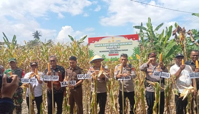 Polres Luwu Timur Dukung Swasembada Pangan, Kapolres Pimpin Panen Jagung Raya Kuartal II