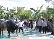 Forkopimda Pinrang Pantau Penyembelihan Hewan Qurban Bantuan Presiden RI di Mattiro Sompe