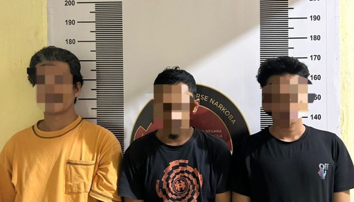 Sat Res Narkoba Polres Palopo Berhasil Amankan Pelaku Penyalahgunaan Narkotika